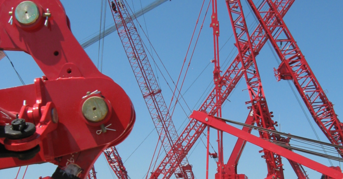 Cranes cranes